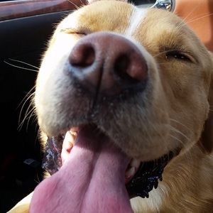 Meet your Posher, Becky